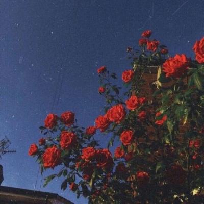 半岛平台官方网站入口网址